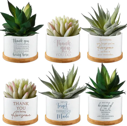 Unittype 6 Pcs Valentines Employee Appreciation Gift Ceramic Succulent Mini Planter with Tray Office Desk Decor Thank You Gift for Teacher Team