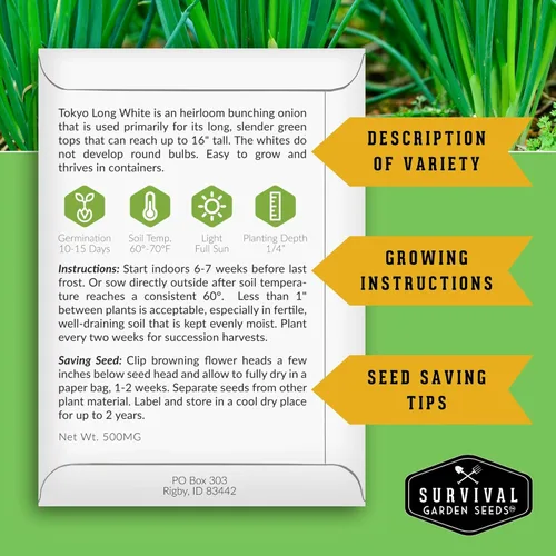 Vista 2 de Tokyo Long White Bunching Cebolla verde Negi para plantar, cebolla verde japonesa Negi de rápido crecimiento con tallos blancos tiernos, reliquia