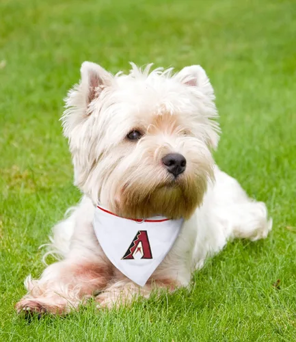 Vista 2 de MLB Bandana – Arizona Diamondbacks Bandana para perro con collar reflectante y ajustable para perro, talla S