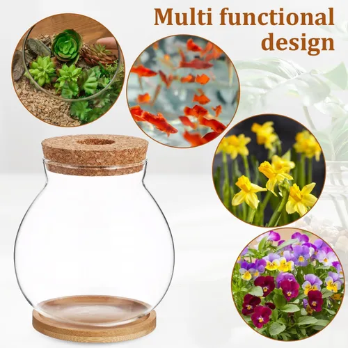 Vista 6 de Balacoo Pescadera hidropónica de escritorio - pecera pequeña de vidrio