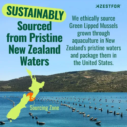 Vista 6 de Azestfor Mejillón de labios verdes antiinflamatorios para perros en polvo