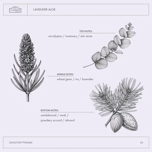 Vista 5 de A LA MAISON Jabón líquido francés de lavanda para manos, lavado de manos natural hecho con aceites esenciales, biodegradable, a base de plantas