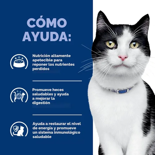 Vista 8 de Hill's Prescription Diet i/d Digestive Care Alimento seco para gatos, pollo, bolsa de 8.5 libras