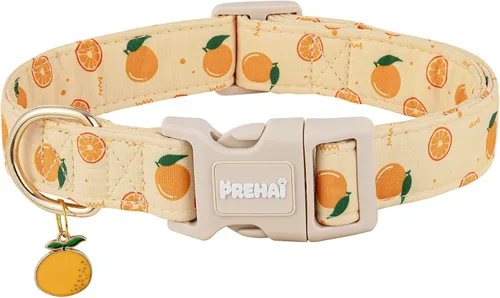 PREHAI Collar de perro naranja con dije, amarillo pálido, diseño de primavera para niños y niñas, collares de perros pequeños, medianos y grandes, L