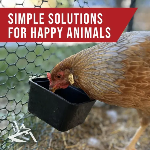 Vista 6 de The ROP Shop Paquete de 6 tazas de jaula negras hechas de plástico flexible que evitan que se congelen y se rompan