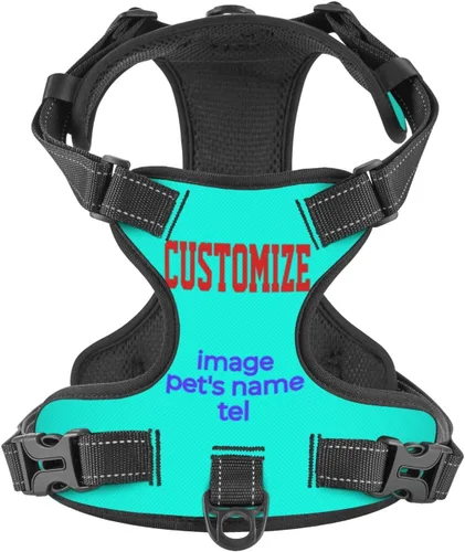 Vista 14 de Arnés de estrella para perros pequeños con correa sin tirones, 2 clips para correa, ajustable, suave, con bandera estadounidense, juego de chaleco