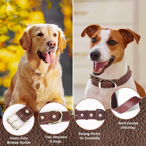 Vista 4 de Guiding Star Juego de correa y collar de cuero de 6 pies, correa de perro de cuero trenzado suave de 6 pies con collar de perro ajustable, juego