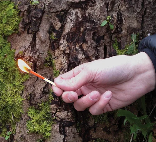Vista 5 de Kit de cerillos a prueba de tormentas UCO con estuche impermeable, 25 cerillos a prueba de tormentas y 3 mecheros