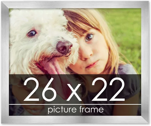 Vista 164 de Marco de madera de peltre plateado de 19 x 25 pulgadas con plexiglás acrílico UV, respaldo de tablero de espuma y accesorios incluidos