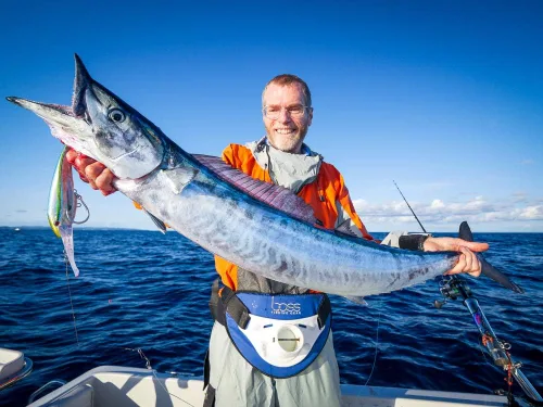 Vista 6 de Nomad Design DTX Minnow Señuelo Flotante - Caballa Verde Plata 4.724 in