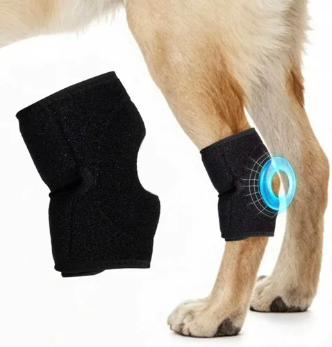 Soporte de pierna de perro para articulación de corvejón, envoltura de soporte de compresión (XL)