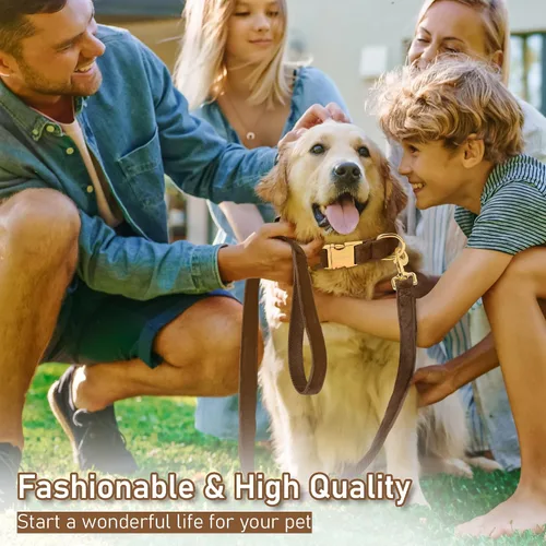 Vista 6 de GAMUDA Collar y correa de terciopelo para perro, súper suave y liso, hebilla dorada resistente, cómodo y fácil de limpiar, collar ajustable