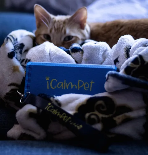 Vista 5 de Cool Cat Gold Pak iCalmPet Ruff 'n Ready Altavoz portátil con 3 horas MicroSD Cat Calming Classical