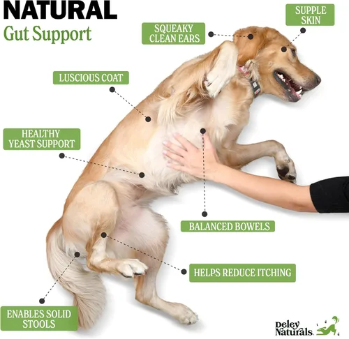 Vista 3 de Deley Naturals Masticables probióticos para perros – 4 mil millones de UFC probióticos para perros con enzimas digestivas y prebióticos