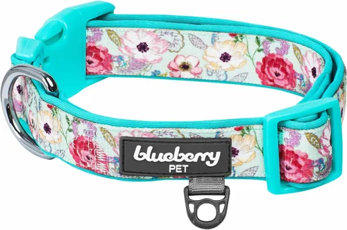 Vista 18 de Blueberry Pet - Collar ajustable para perro con forma de diamantes tribales del sudoeste en francés rosa con hebilla de metal, cuello 9-12.5