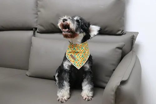 Vista 4 de Bandana de otoño para perro, bandana de girasol para perros pequeños, medianos y grandes, lindo pañuelo de flores para cachorros, bufanda triangular