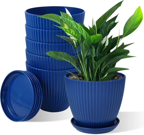 Vista 10 de Macetas grandes de 7 pulgadas, paquete de 6 macetas con orificio de drenaje y bandeja platillo, maceta de plástico para plantas de interior y 6