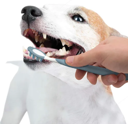 Vista 6 de Nylabone Advanced Oral Care Senior Dog Kit dental para perros pequeños