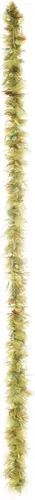 california costumes Women 's algas Boa disfraz