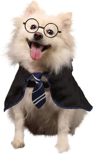 Vista 9 de Disfraz Coomour de bruja, para perro, gato, cachorro, ropa para perros pequeños, medianos, grandes, camisa con gafas Azul