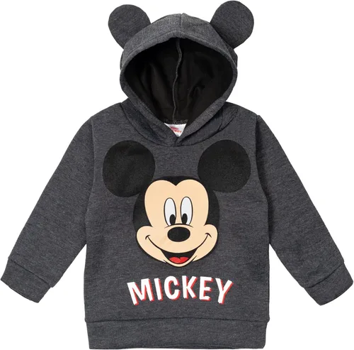 Disney Lion King Winnie the Pooh Pixar Monsters Inc. Mickey Mouse Lilo & Stitch Fleece Pullover Hoodie Infant to Big Kid