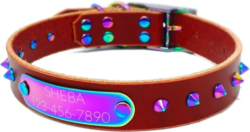 Vista 19 de Collar de perro de cuero con brida hecha a mano, grabado arco iris de acero inoxidable (negro)