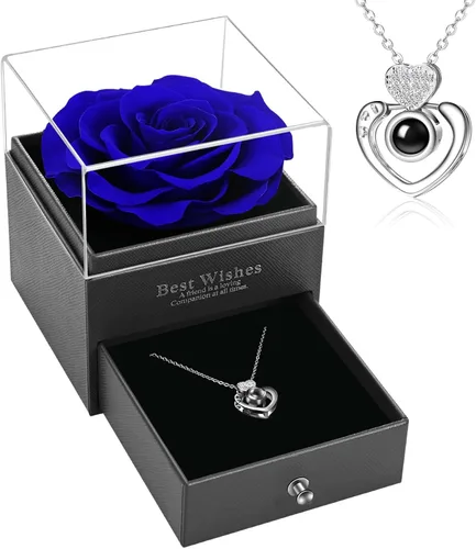 Preserved Rose with I Love You Necklace in 100 Languages Romantic Gifts For Dating ValentineS Day MotherS Day Christmas Anniversary Birthday