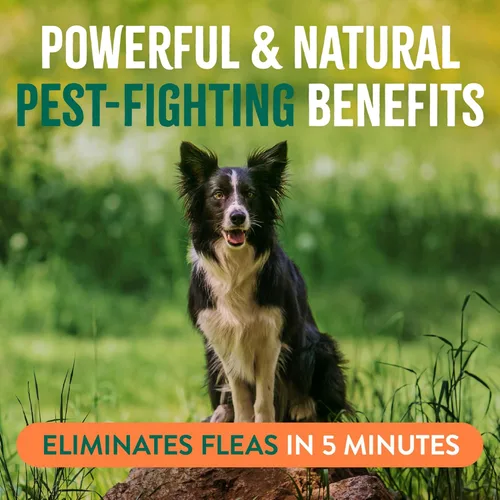 Vista 4 de TropiClean Spray natural para pulgas y garrapatas de máxima fuerza para perros, 16 onzas