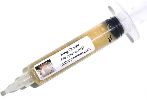 Vista 12 de Root Mushroom Farm - Cultivo líquido de hongos/cabeza de oso (Hericium americanum)