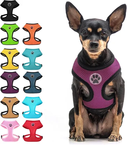 Vista 12 de BINGPET Arnés para perro sin tirones, arnés de chaleco tipo step-in de malla para todo clima para perros pequeños, arnés de malla transpirable
