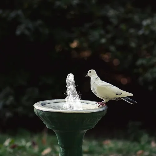 Vista 4 de Boquilla de fuente de burbujas de latón, rosca hembra G1/2 G3/4 rosca macho Rociador de estanque de estanque para biblioteca de parques