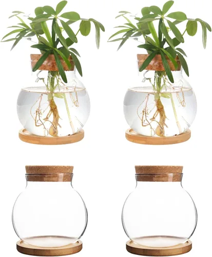 Vista 8 de Estación de Propagación de Plantas CHPINDAM, Jarrones de Contenedor de Vidrio Hidropónico, con Plato de Madera para Escritorios, Casas, Decoraciones