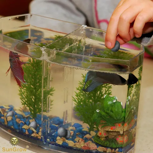 Vista 3 de SunGrow Betta Balls, acondicionador de agua con más de 30 elementos beneficiosos para peces tropicales, decoración de equilibrio de pH de tanque