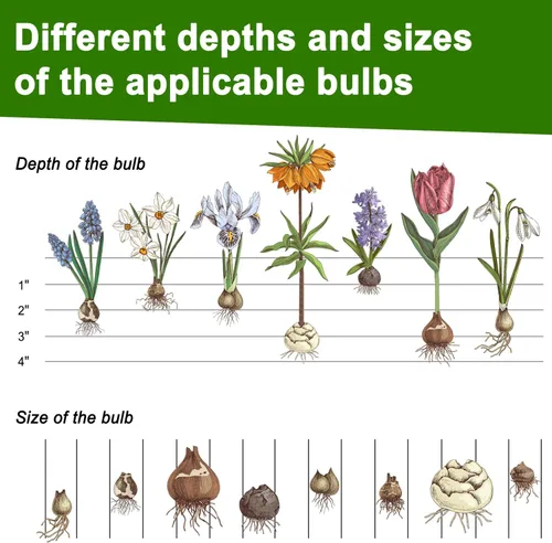 Vista 3 de Herramienta Plantadora de Bulbos, Sacabocados de Césped con Mango Largo y Base Dentada, Herramienta de Jardín 5 en 1 para Tapones de Césped