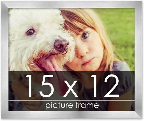 Vista 172 de Marco de madera de peltre plateado de 19 x 25 pulgadas con plexiglás acrílico UV, respaldo de tablero de espuma y accesorios incluidos