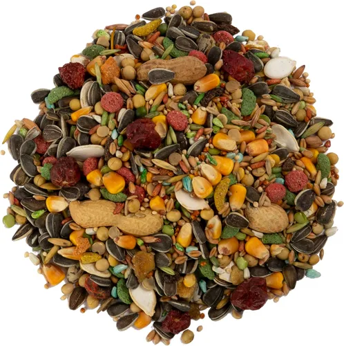 Vista 5 de Wild Harvest Advanced Nutrition - Loro de 4 libras, mezcla de semillas, granos y verduras