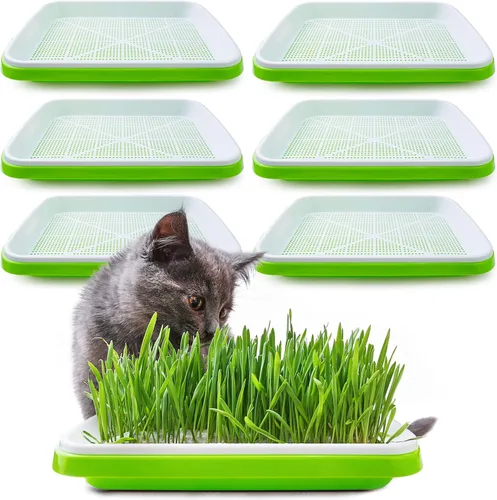 Vista 10 de Bandeja de germinación de semillas con orificios de drenaje, bandeja de germinación de semillas sin BPA, bandeja de vivero, gran capacidad sin