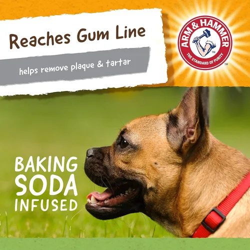 Vista 5 de Arm & Hammer Ora-Play Denta-Saurus T-Rex - Juguete dental masticable para perros El mejor juguete masticable para perros para los masticadores más