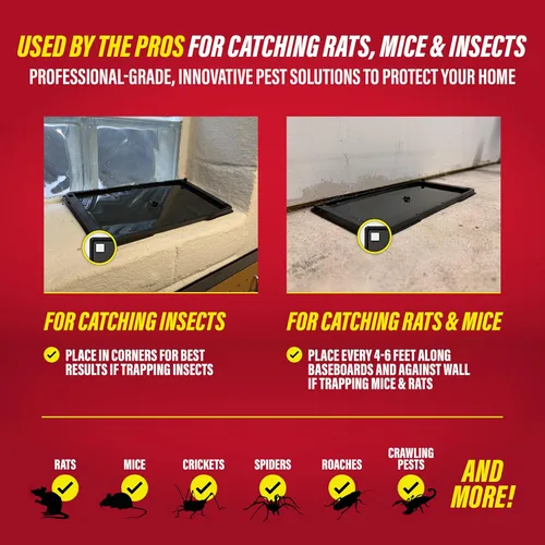 Vista 4 de Catchmaster Trampas de pegamento para ratas y ratones con masilla adhesiva, 2 unidades, tablero de pegamento grande a granel, trampas para ratas
