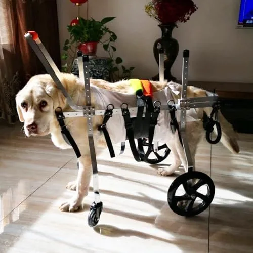 Vista 8 de 4-Wheel Dog Wheelchair for Small Medium Large Breeds, Adjustable Pet Mobility Aid for Disabled Dogs, Full Support Leg Braces, Ideal for XS Size Pets
