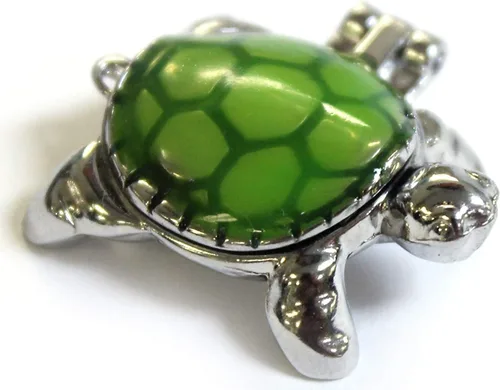 Vista 4 de Tarjeta con historia de la pequeña tortuga "Lucky Little Turtle Wish Box Charm".