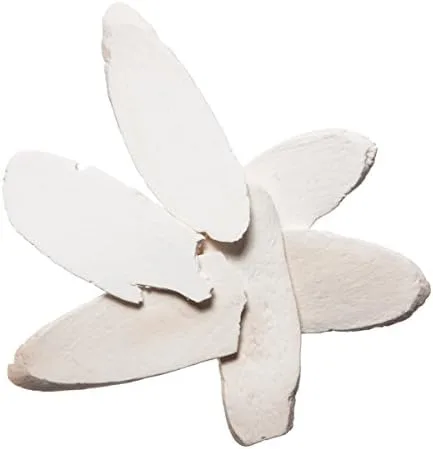 Shan Yao Chinese Yam Dioscorea Bulk Chinese Herb Plum Dragon Herbs (1 libra)