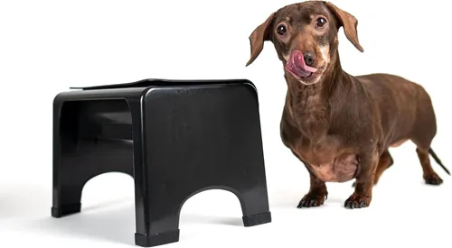 Vista 3 de Fluff Trough Tazón Elevado para Perros para Comida Minimiza la Tensión del Cuello Soporte de Alimentación para Gatos y Perros de 5 Pulgadas