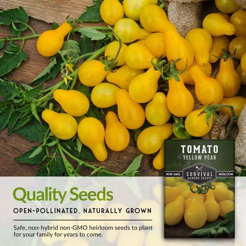 Vista 8 de Semillas de tomate de pera amarilla para plantar, semillas de jardín