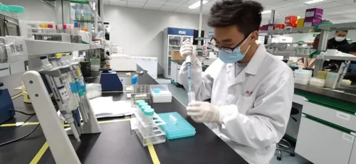 Vista 2 de Glucanasa, dextranasa, dextransae, 5000u/g de grado alimenticio 35.27 oz.