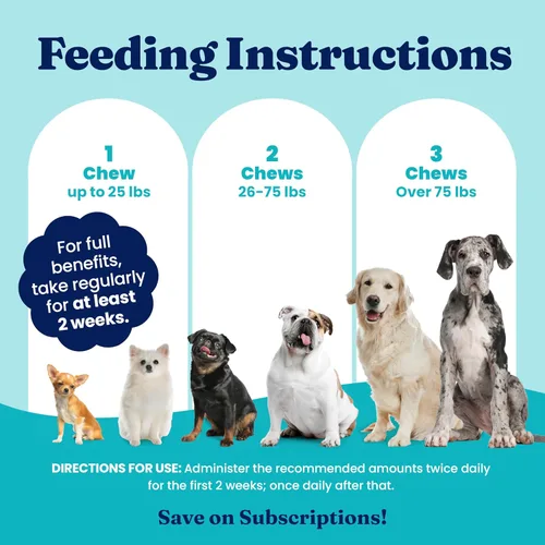 Vista 7 de Solid Gold Probióticos para perros para la salud digestiva, probióticos para perros con fibra y enzimas digestivas para apoyo intestinal y salud