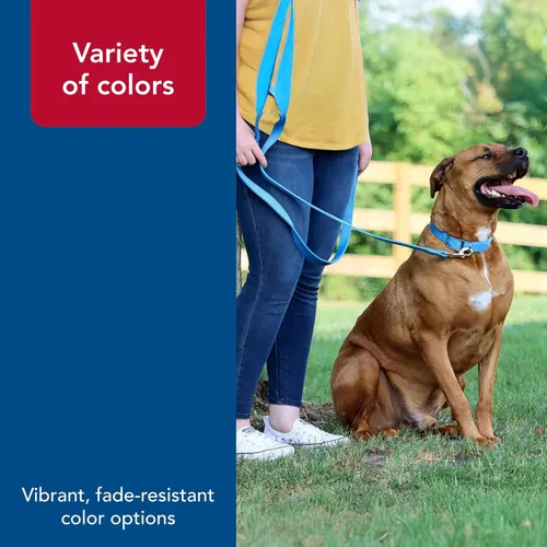 Vista 5 de Coastal Pet Correa para Perros de Doble Capa - Enganche de Mosquetón para Collares y Arneses - Correa de Nailon para Caminar Perros Pequeños Negro