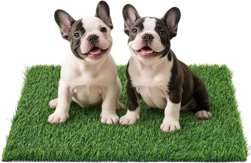 Vista 10 de Almohadilla de césped artificial para perros para orinal: hierba falsa para perros para entrenamiento de orinal para orinar y hacer caca en balcón